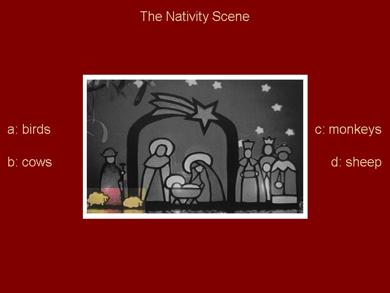 The Nativity Scene a: birds  b: cows c: monkeys d: sheep